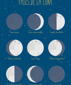 Lámina Montessori Fases de la Luna