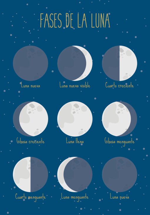 Lámina Montessori Fases de la Luna